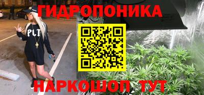 стафф Ставрополь