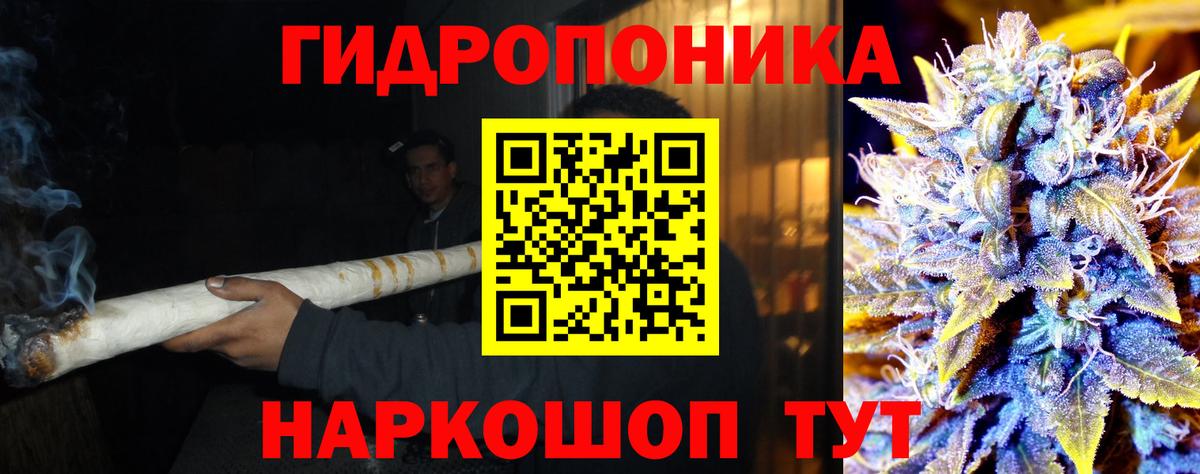 МАРИХУАНА сатива Мурино